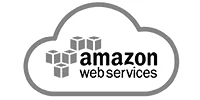 Amazon collaborator logo